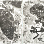 水墨画　Kukuri.H