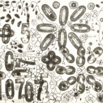 数字スタンプ　Kukuri.H